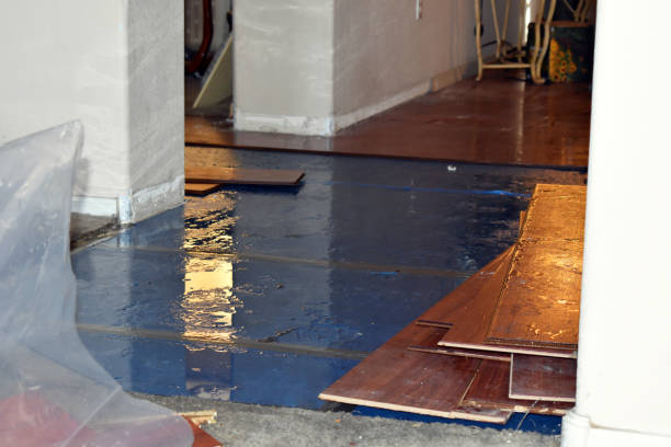 Professional Water Damage Restoration technician working in Franklin, CA